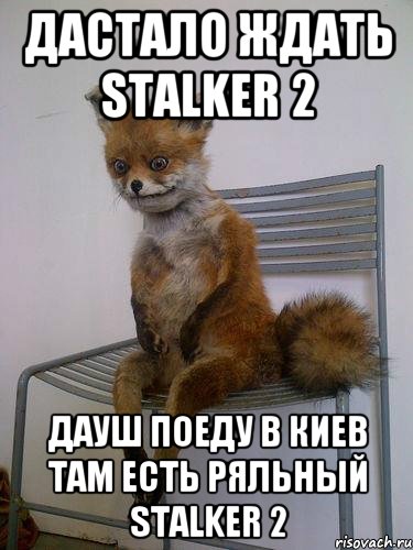 дастало ждать stalker 2 дауш поеду в киев там есть ряльный stalker 2, Мем Упоротая лиса