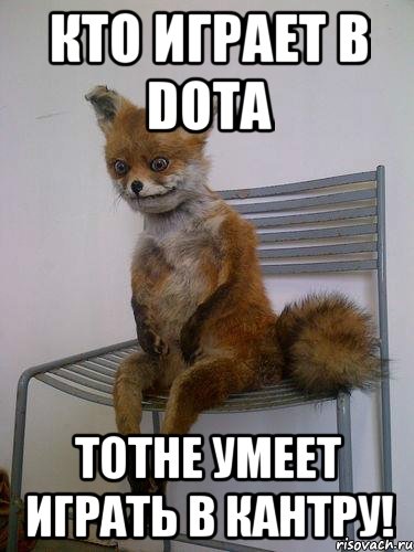 кто играет в DOTA тотне умеет играть в кантру!, Мем Упоротая лиса