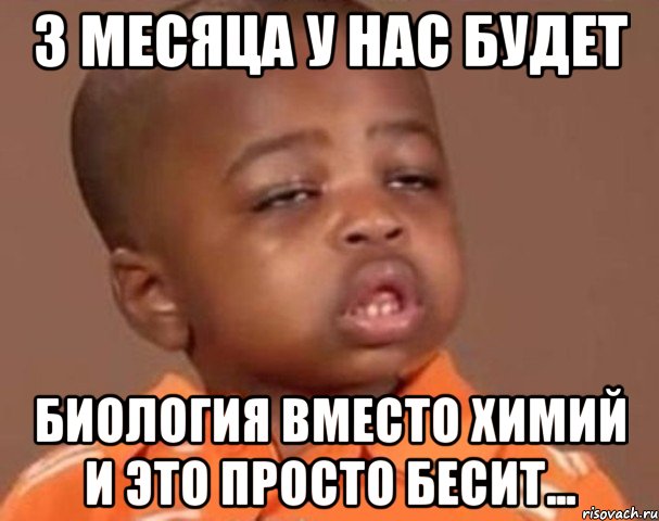 3 месяца у нас будет Биология вместо Химий и это просто БЕСИТ..., Мем  Какой пацан (негритенок)