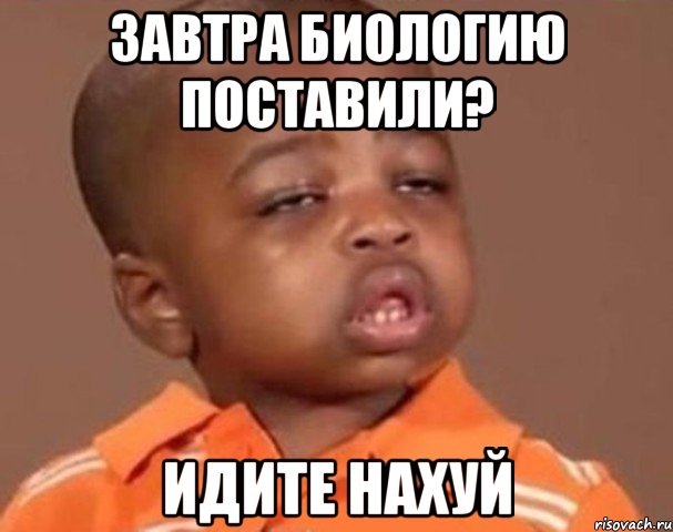 завтра биологию поставили? идите нахуй, Мем  Какой пацан (негритенок)