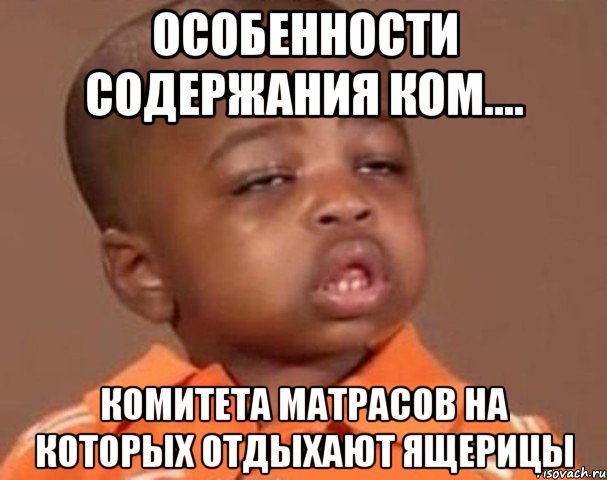 особенности содержания ком.... комитета матрасов на которых отдыхают ящерицы, Мем  Какой пацан (негритенок)