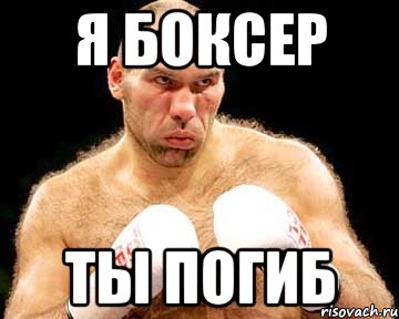 Я БОКСЕР ТЫ ПОГИБ, Мем каменная голова