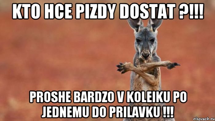 Kto hce pizdy dostat ?!!! Proshe bardzo v koleiku po jednemu do prilavku !!!, Мем kenguru