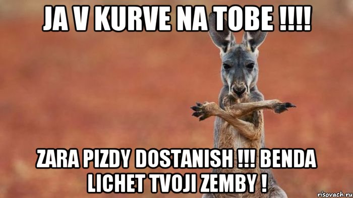 Ja v kurve na tobe !!!! Zara pizdy dostanish !!! benda lichet tvoji zemby !, Мем kenguru