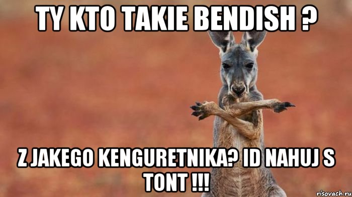 Ty kto takie bendish ? z jakego kenguretnika? id nahuj s tont !!!, Мем kenguru