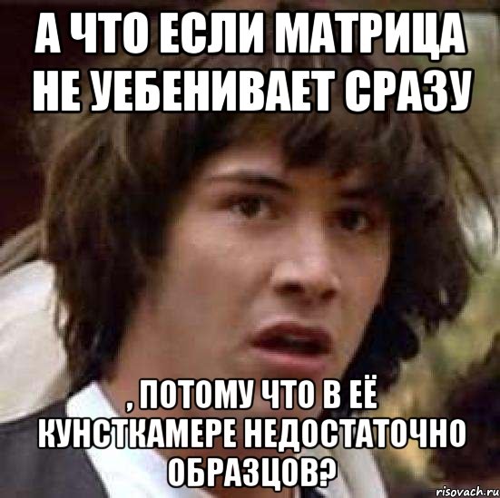 А что если матрица не уебенивает сразу , потому что в её кунсткамере недостаточно образцов?, Мем А что если (Киану Ривз)