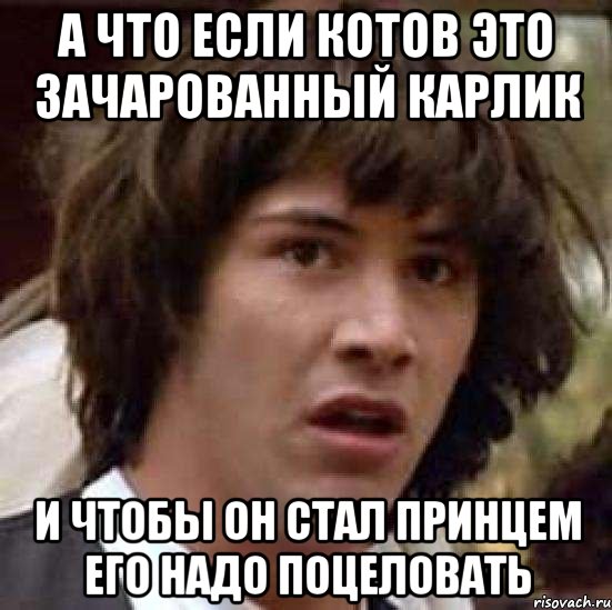 А что если котов это зачарованный карлик И чтобы он стал принцем его надо поцеловать, Мем А что если (Киану Ривз)