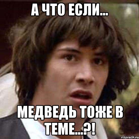 А что если... Медведь тоже в теме...?!, Мем А что если (Киану Ривз)