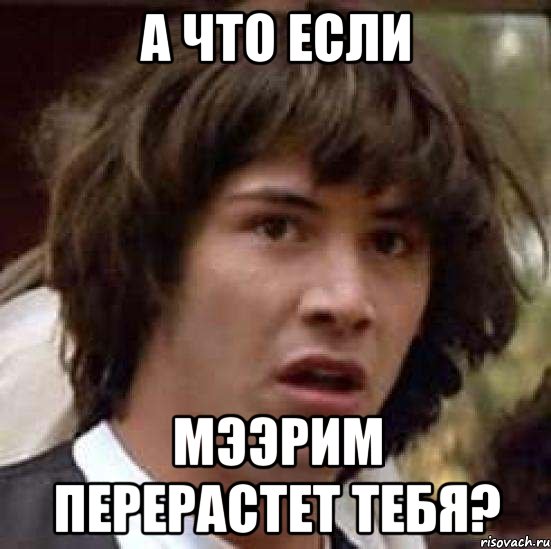 а что если Мээрим перерастет тебя?, Мем А что если (Киану Ривз)