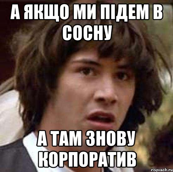 а якщо ми підем в Сосну а там знову корпоратив, Мем А что если (Киану Ривз)