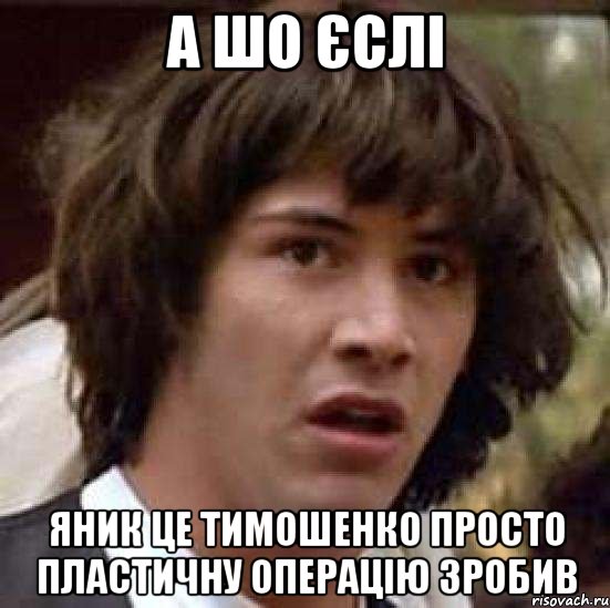 А шо єслі яник це тимошенко просто пластичну операцію зробив, Мем А что если (Киану Ривз)