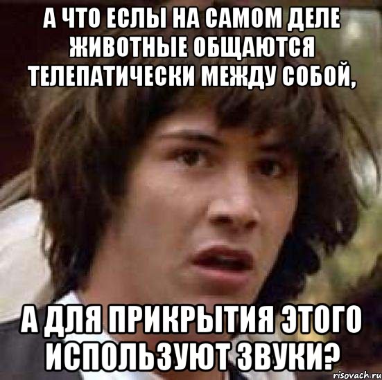 а что еслы на самом деле животные общаются телепатически между собой, а для прикрытия этого используют звуки?, Мем А что если (Киану Ривз)