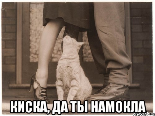  киска, да ты намокла