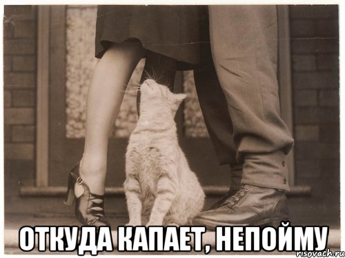 откуда капает, непойму