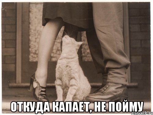  откуда капает, не пойму