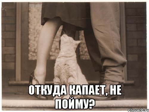  откуда капает, не пойму?