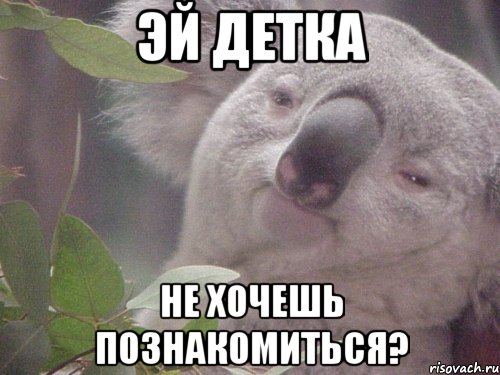 эй детка не хочешь познакомиться?