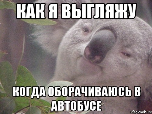 как я выгляжу когда оборачиваюсь в автобусе