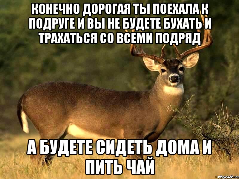 Конечно дорогая ты поехала к подруге и вы не будете бухать и трахаться со всеми подряд А будете сидеть дома и пить чай, Мем Конечно дорогая я не против
