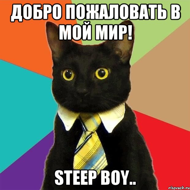 добро пожаловать в мой мир! StEeP BoY.., Мем  Кошечка