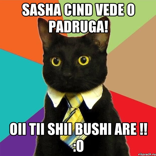 sasha cind vede o padruga! oii tii shii bushi are !! :O, Мем  Кошечка