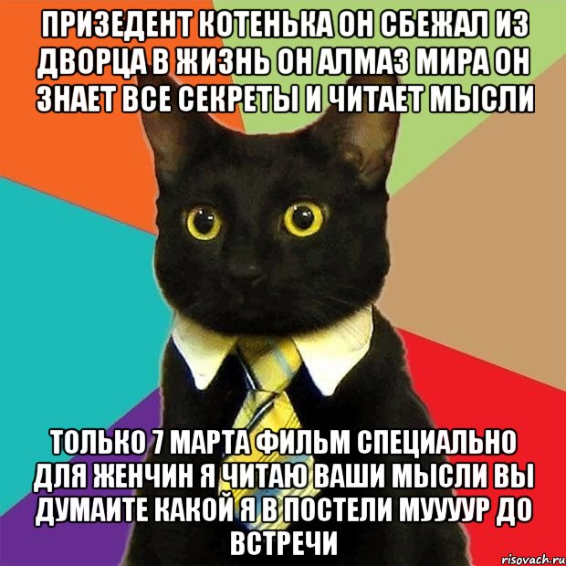 ПРИзедент котенька он сбежал из дворца в жизнь он алмаз мира он знает все секреты и читает мысли только 7 марта фильм специально для женчин я читаю ваши мысли вы думаите какой я в постели муууур до встречи, Мем  Кошечка