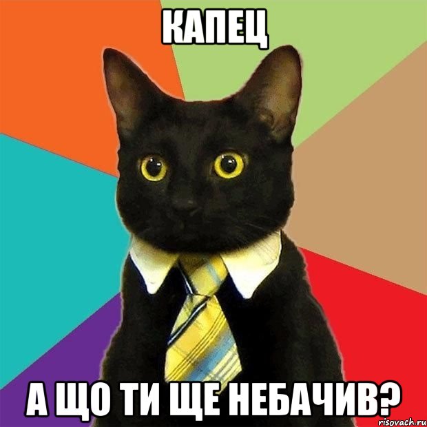 Капец А що ти ще небачив?, Мем  Кошечка