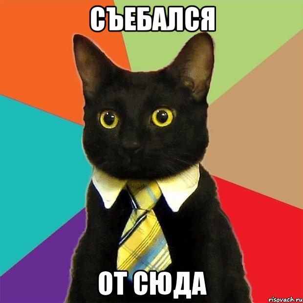 съебался от сюда, Мем  Кошечка