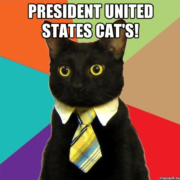 President United States cat's! , Мем  Кошечка