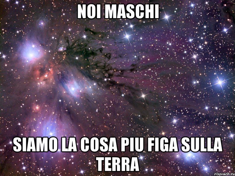 NOI MASCHI SIAMO LA COSA PIU FIGA SULLA TERRA, Мем Космос