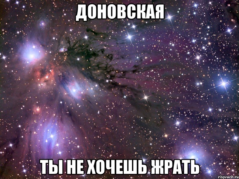 ДОНОВСКАЯ ТЫ НЕ ХОЧЕШЬ ЖРАТЬ
