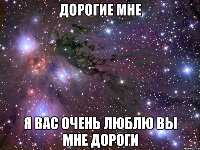 дорогие мне я вас очень люблю вы мне дороги