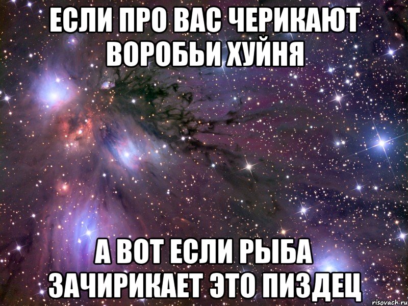 если про вас черикают воробьи хуйня а вот если рыба зачирикает это пиздец
