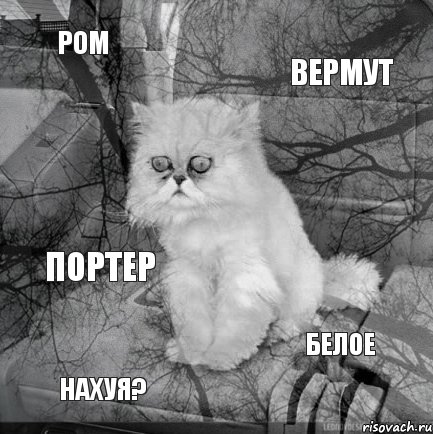 ром вермут нахуя? белое портер, Комикс  кот безысходность