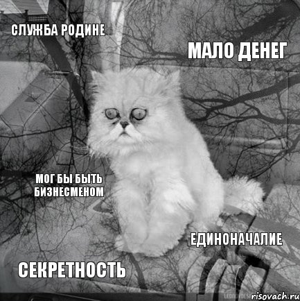 Служба Родине Мало денег Секретность Единоначалие Мог бы быть бизнесменом, Комикс  кот безысходность