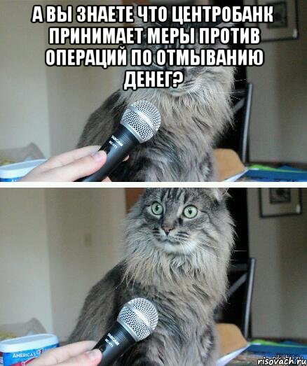 А Вы знаете что Центробанк принимает меры против операций по отмыванию денег? , Комикс  кот с микрофоном