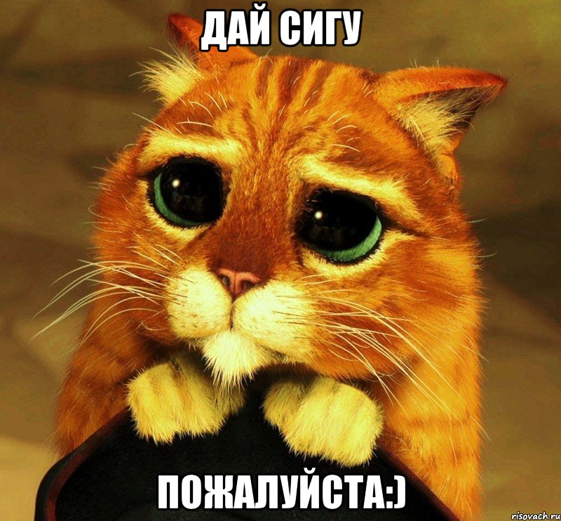 дай сигу пожалуйста:)