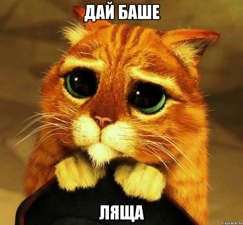 дай Баше ляща