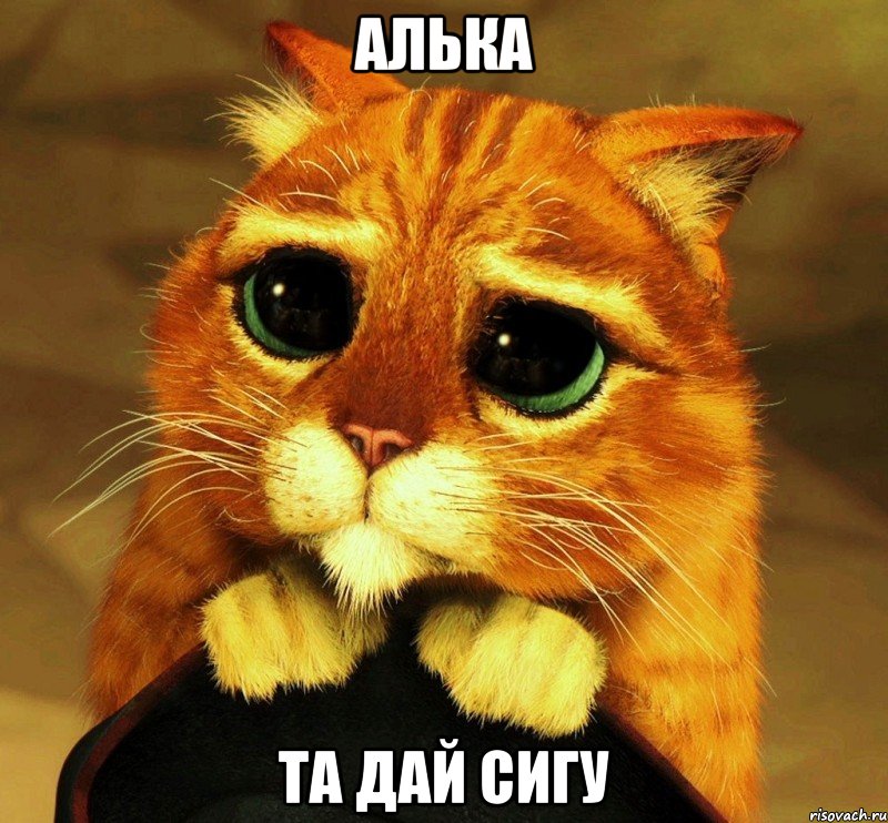 алька та дай сигу