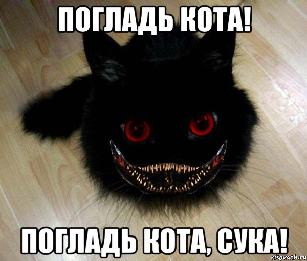 Погладь кота! Погладь кота, сука!