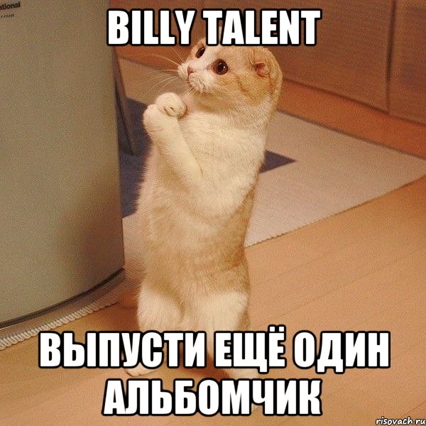 Billy talent Выпусти ещё один альбомчик, Мем  котэ молится