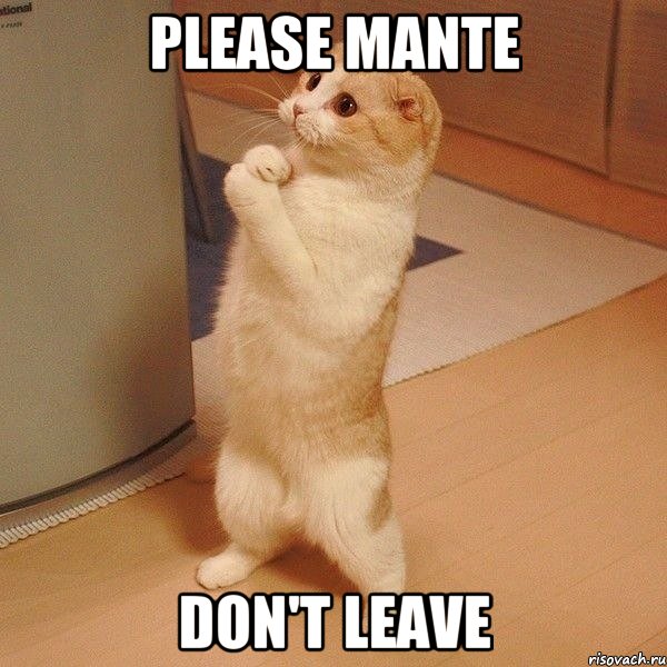 Please Mante Don't leave, Мем  котэ молится