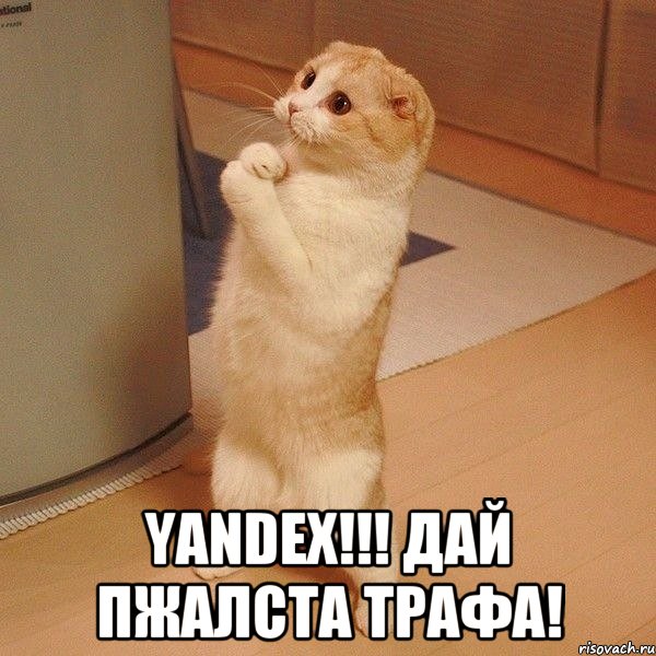  Yandex!!! Дай пжалста трафа!, Мем  котэ молится