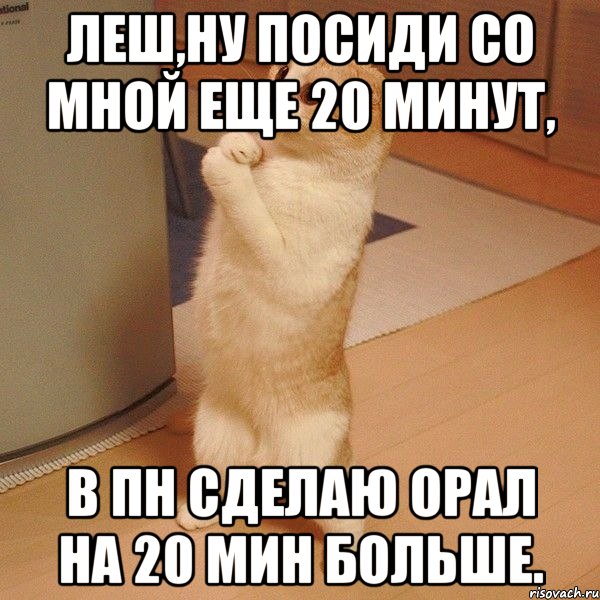 Леш,ну посиди со мной еще 20 минут, в пн сделаю орал на 20 мин больше., Мем  котэ молится