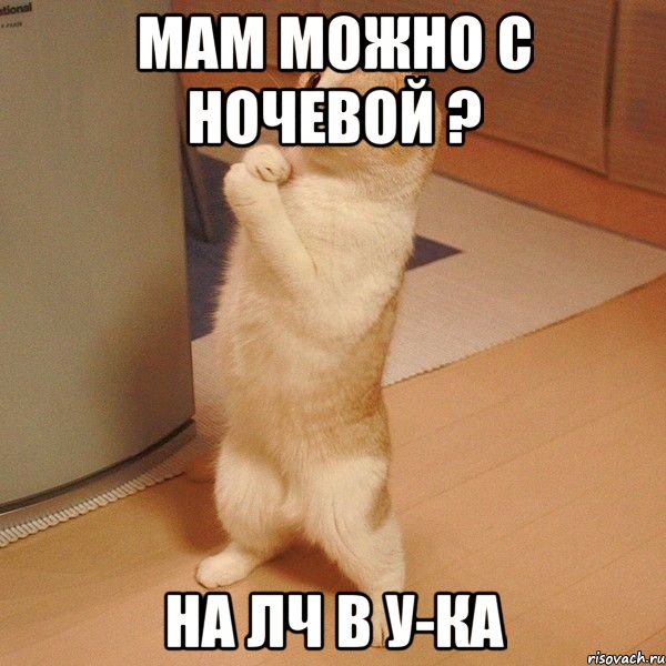 Мам можно с ночевой ? На лч в У-ка, Мем  котэ молится