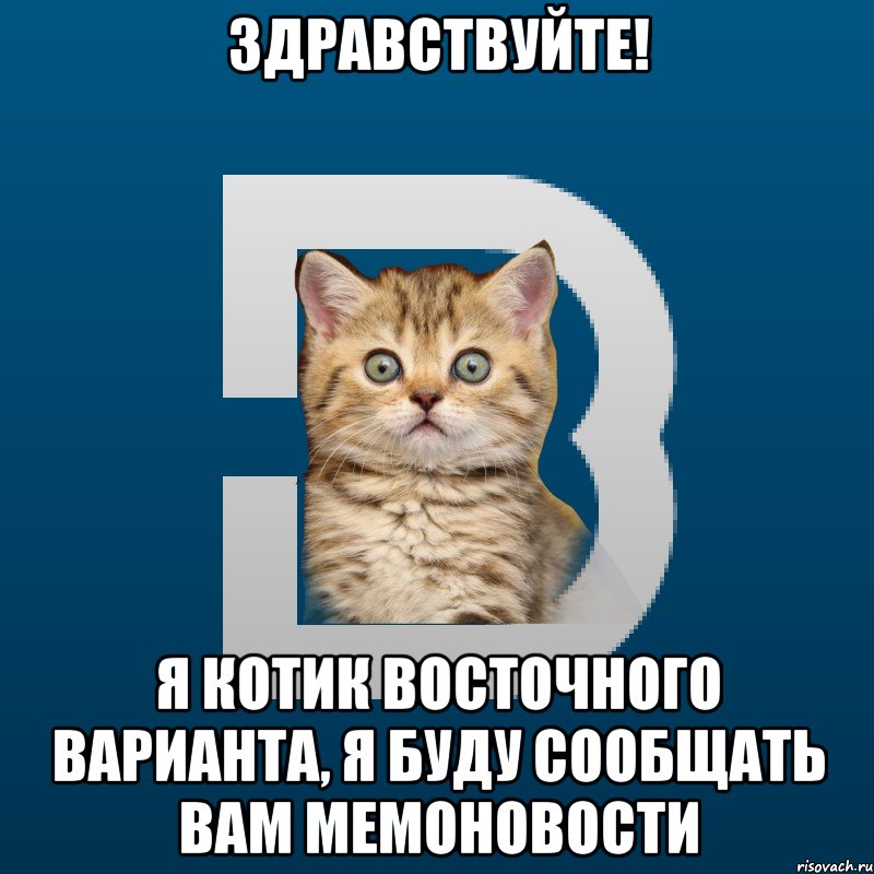 Здравствуйте! Я котик Восточного Варианта, я буду сообщать вам мемоновости