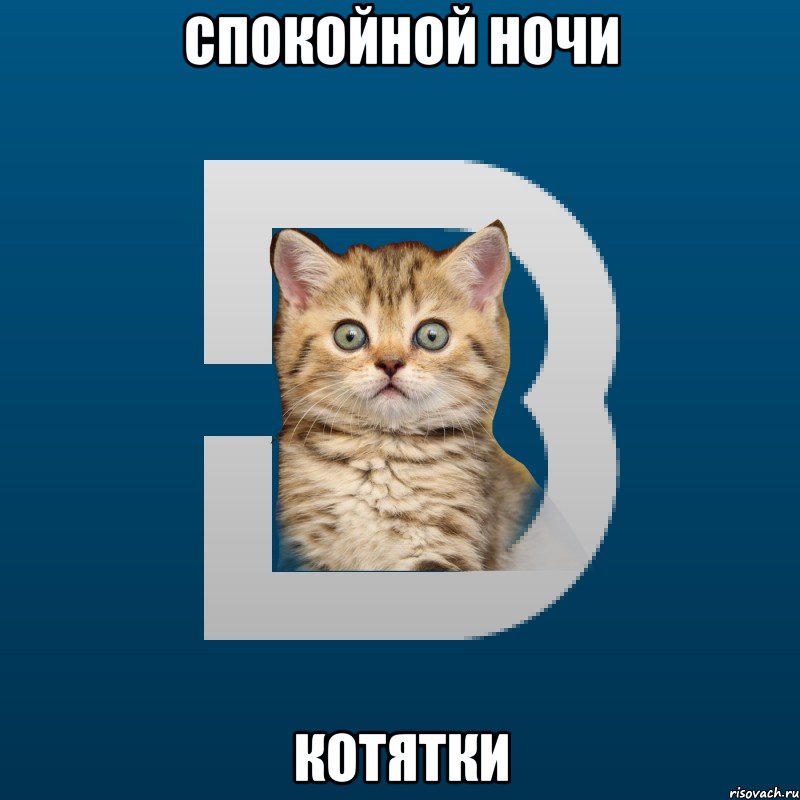 Спокойной ночи котятки