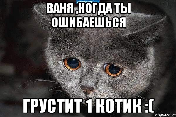 Ваня ,когда ты ошибаешься ГРУСТИТ 1 КОТИК :(