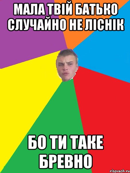 Мала твій батько случайно не ліснік бо ти таке бревно