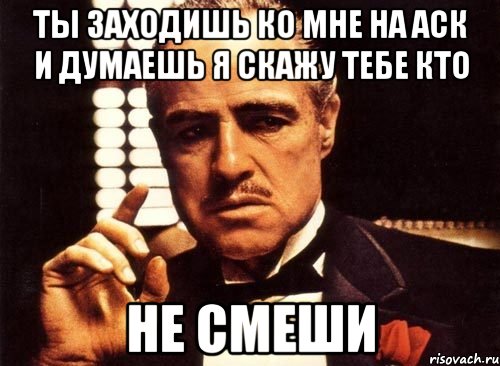 ты заходишь ко мне на аск и думаешь я скажу тебе кто не смеши, Мем крестный отец